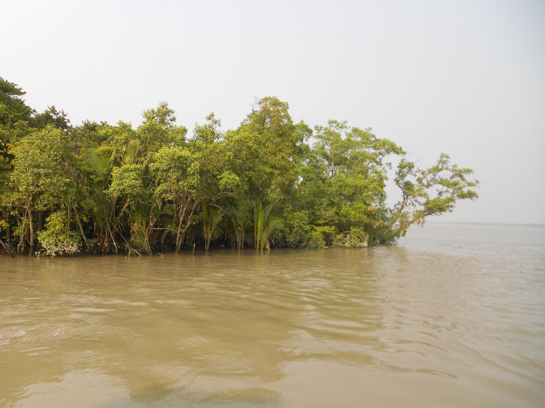 The Sundarbans-库尔纳县必去景点