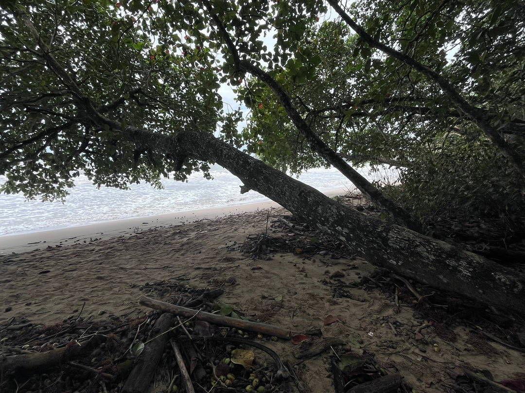 Cahuita National Park-卡维塔必去景点