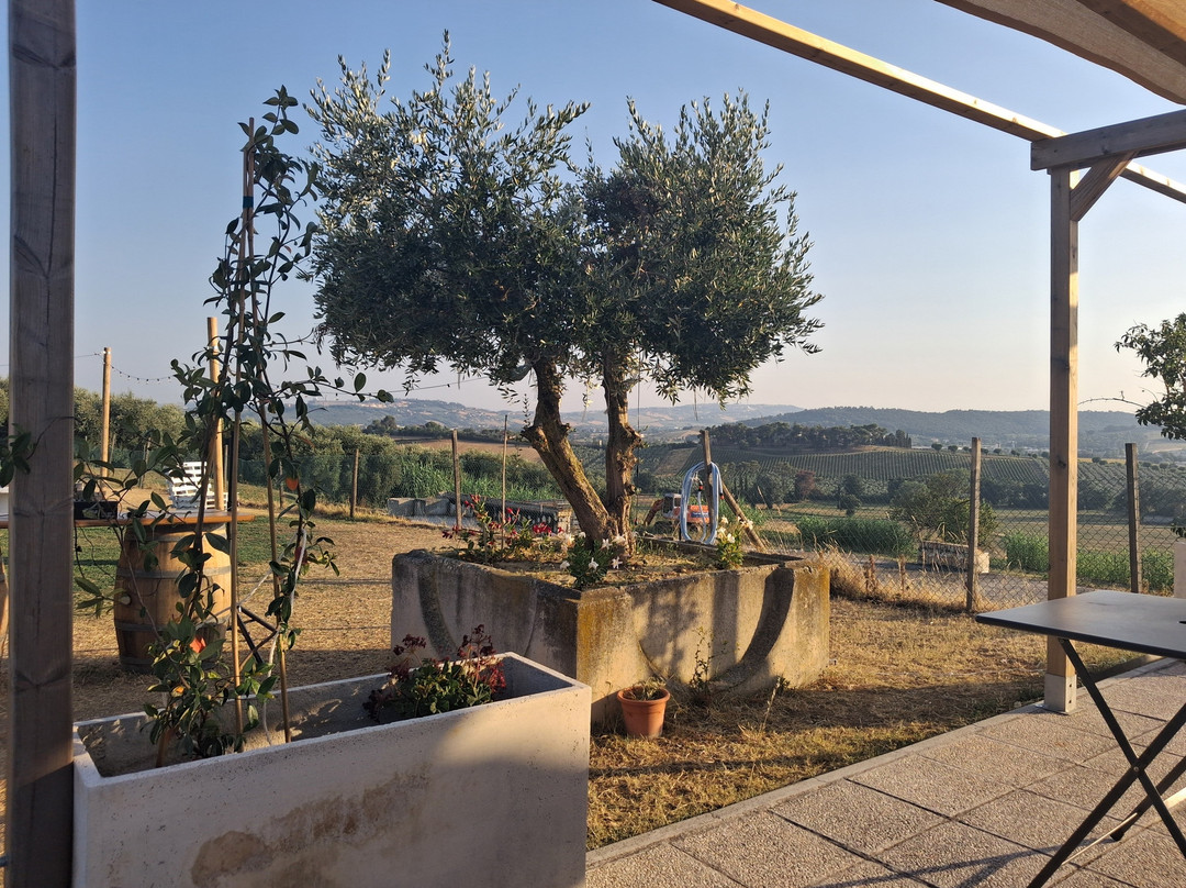 Conte Leopardi Wines-努马纳必去景点