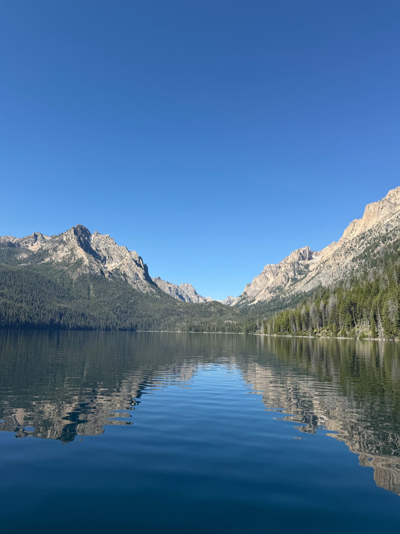 Redfish Lake Lodge-旅行者