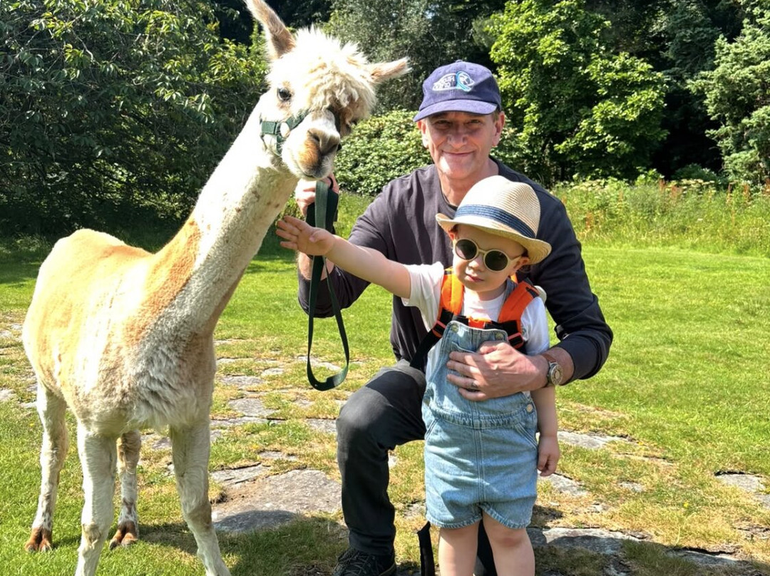 Alpacaly Ever After-Portinscale必去景点