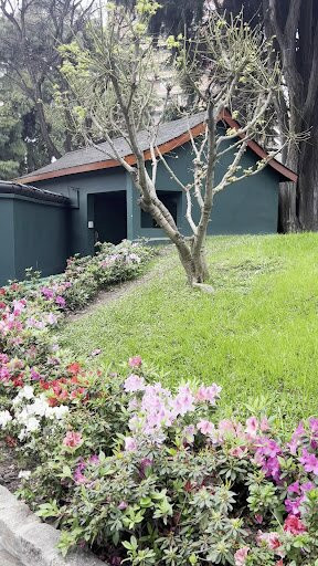 Jardín Japonés-布宜诺斯艾利斯必去景点