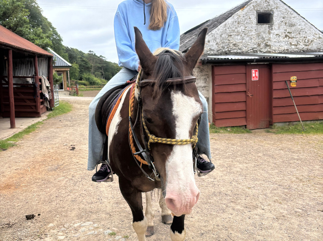 Lunga Riding Stables-Lochgilphead必去景点