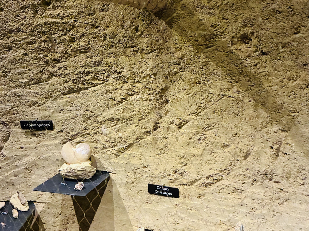 La Cave Aux Coquillages-Fleury-la-Riviere必去景点