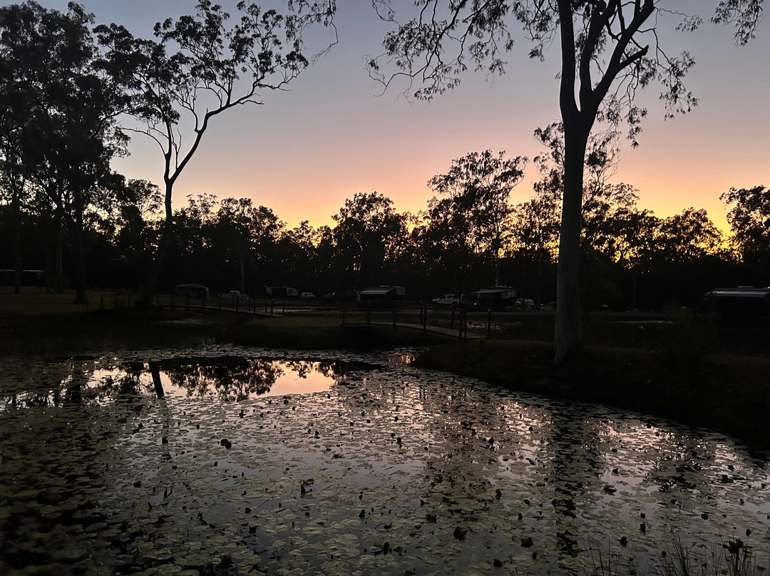 Gum Tree Lodge and Bush Camp