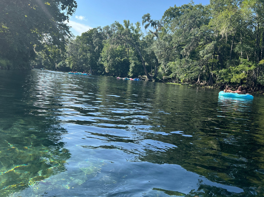 Ginnie Springs-High Springs必去景点