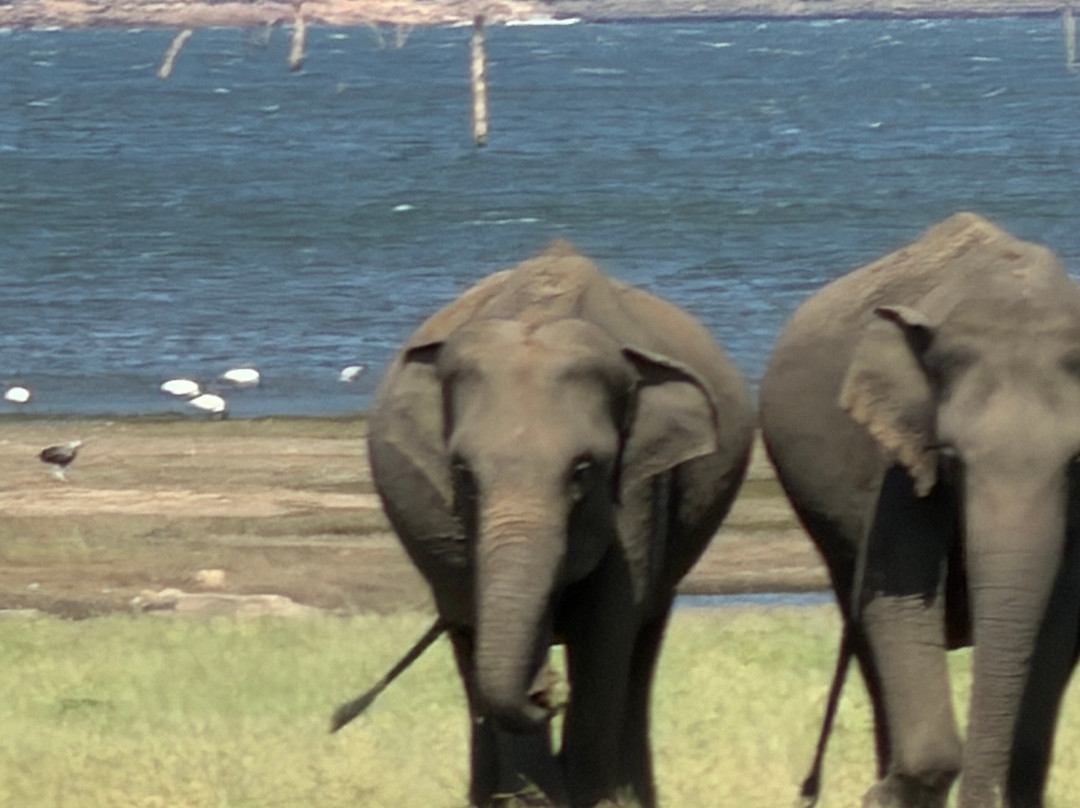 Sudath Safari and Tours Sri Lanka-锡吉里亚必去景点