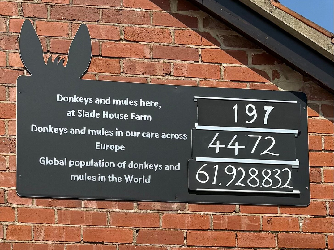 The Donkey Sanctuary-西德茅斯必去景点