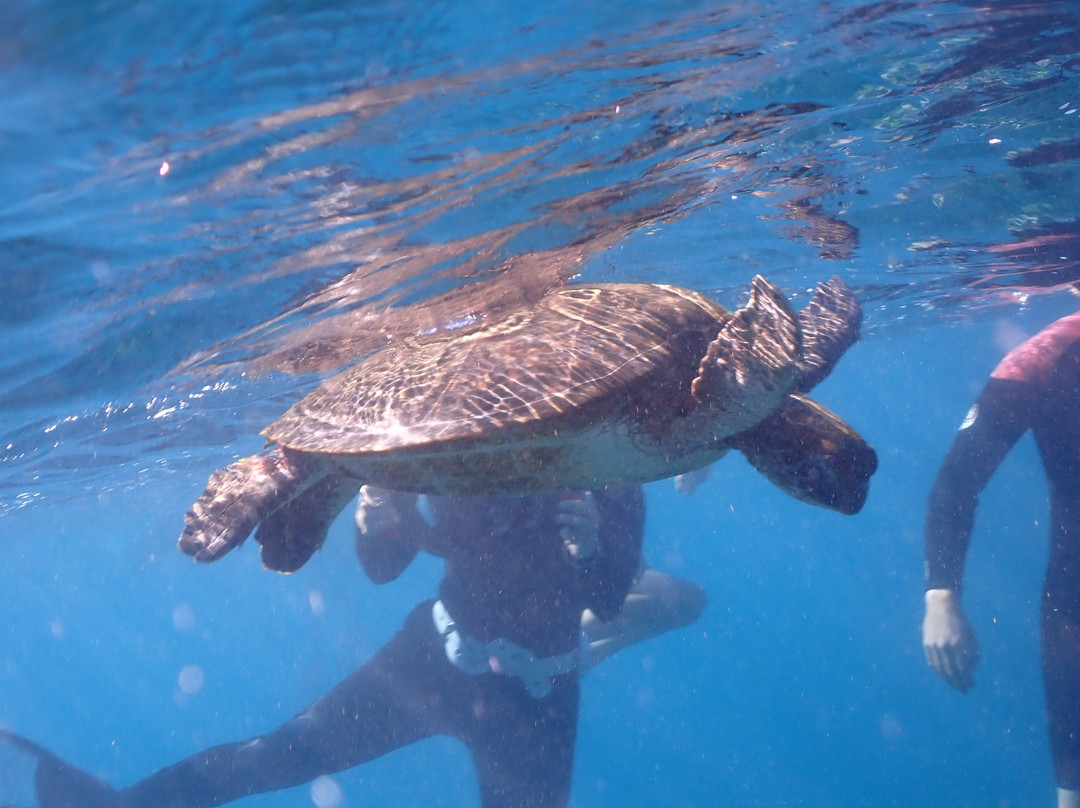 Ningaloo Coral Bay Boats-珊瑚湾必去景点