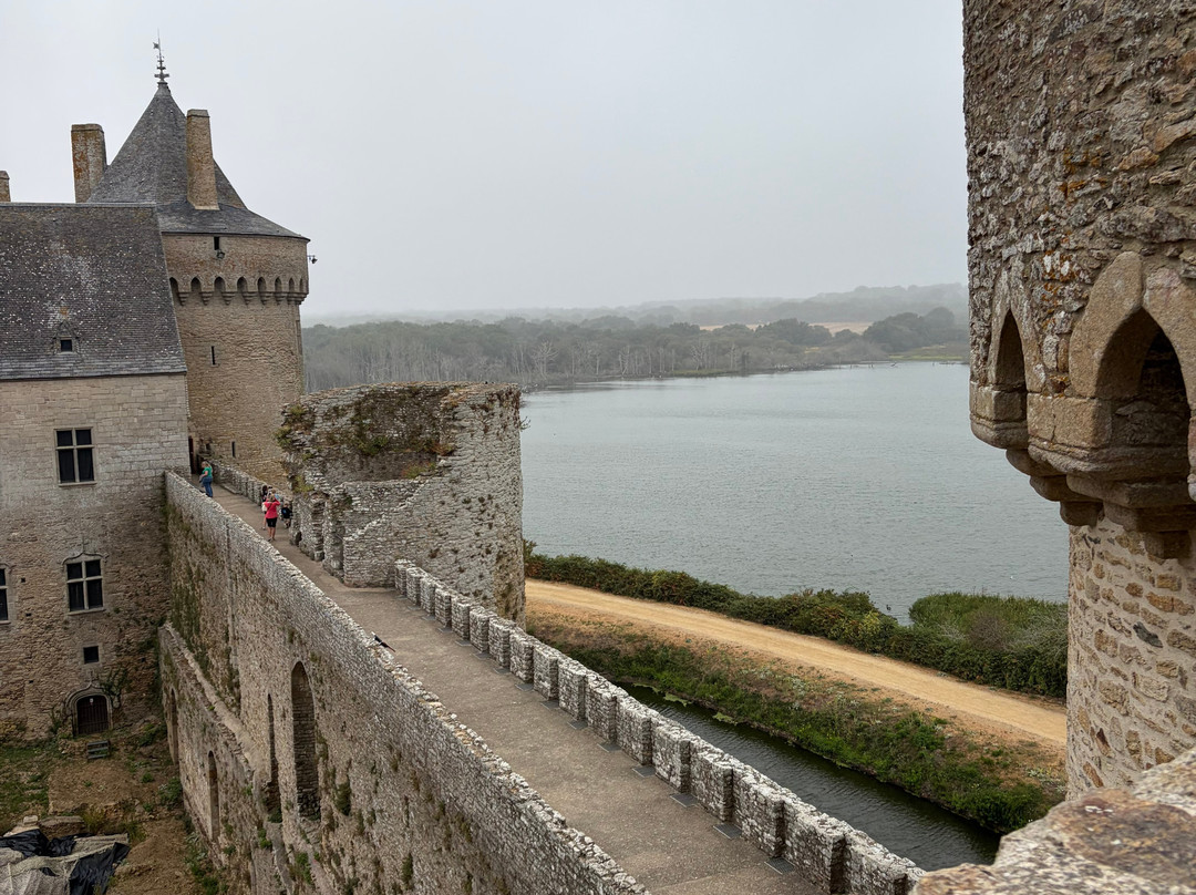 Chateau Suscinio-Sarzeau必去景点
