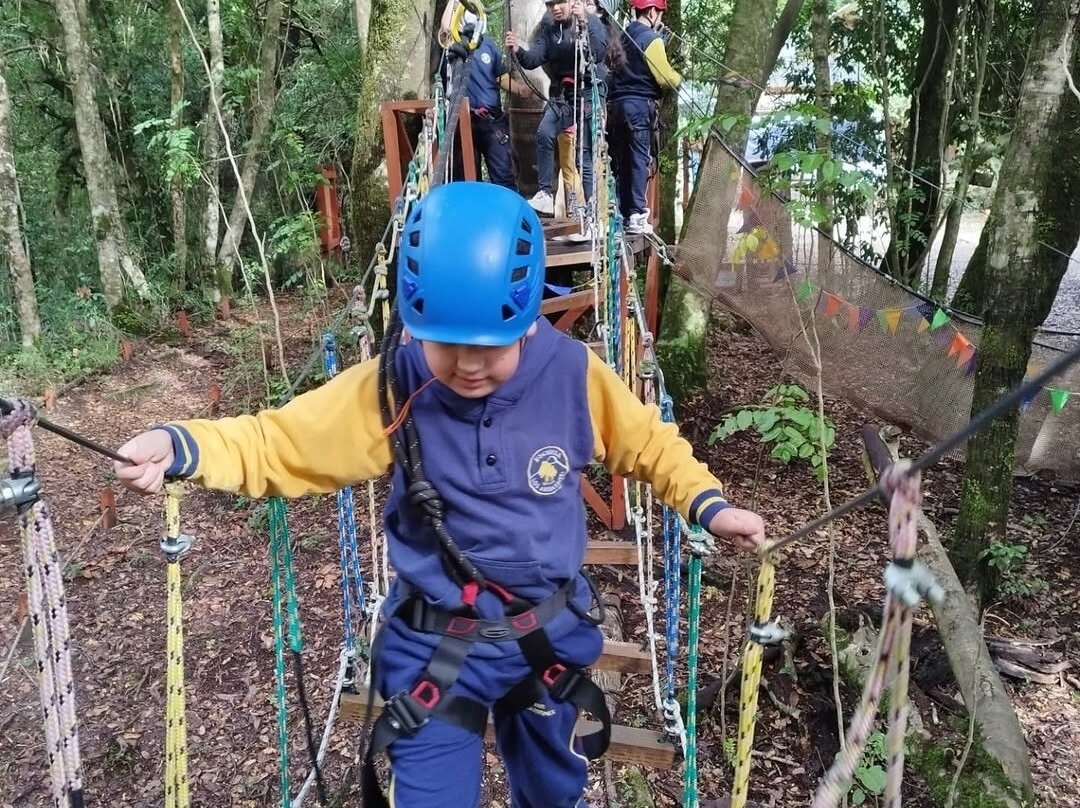 Salto los mellizos Palguin Adventure Park-Palguin必去景点