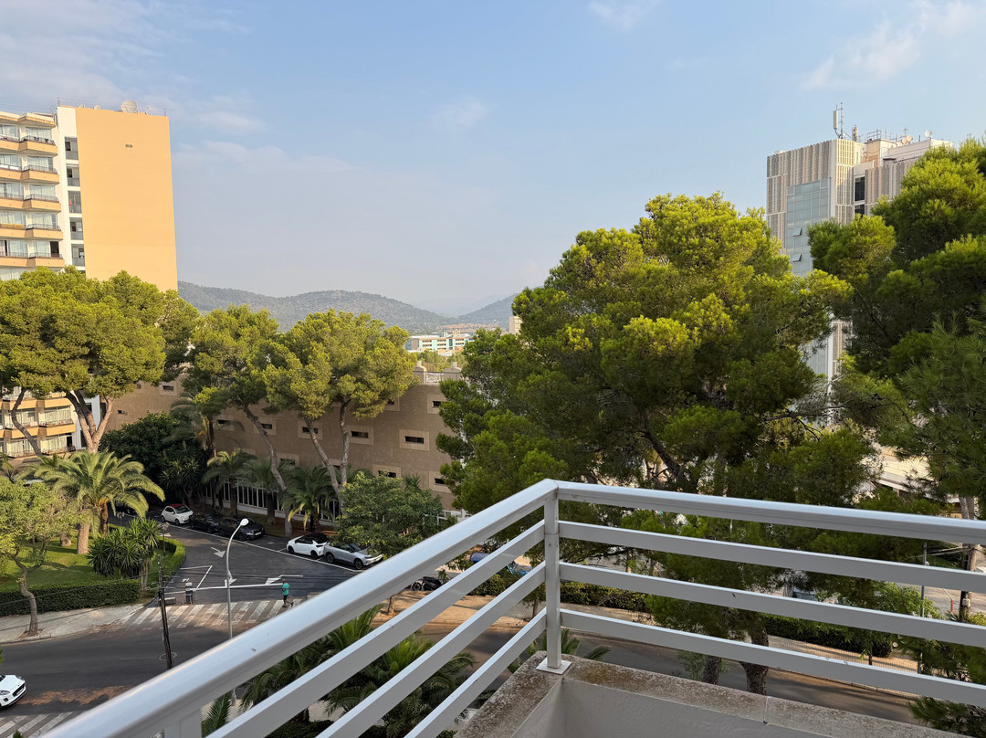 Alua Calvia Mallorca主图