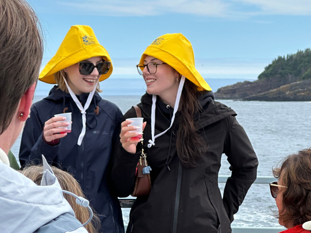 O'Brien's Whale and Bird Tours-Bay Bulls必去景点