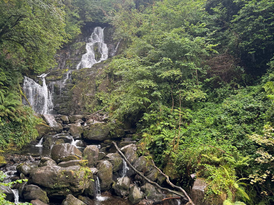 Torc Waterfall-基拉尼必去景点
