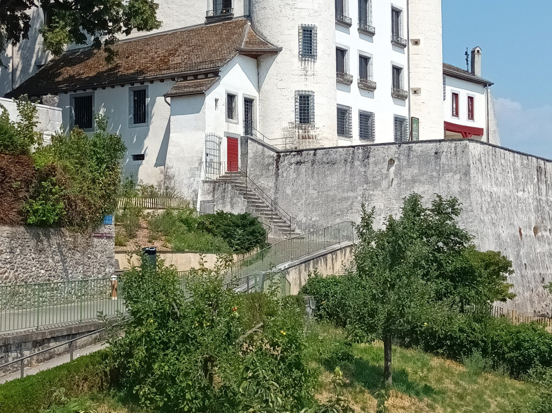 Château de Nyon-尼永必去景点