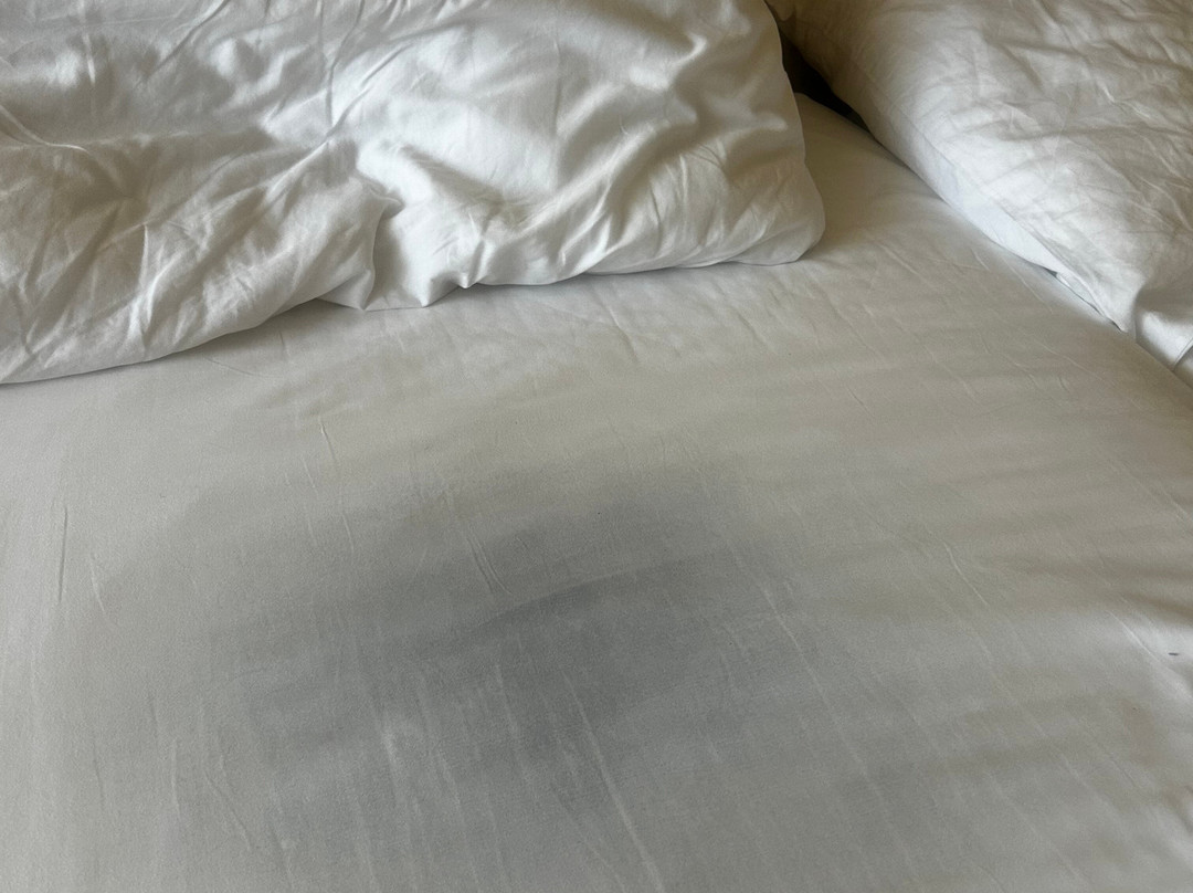 Hotel Quercus主图
