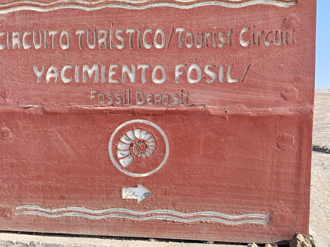 Paracas National Reserve-Ica Region必去景点