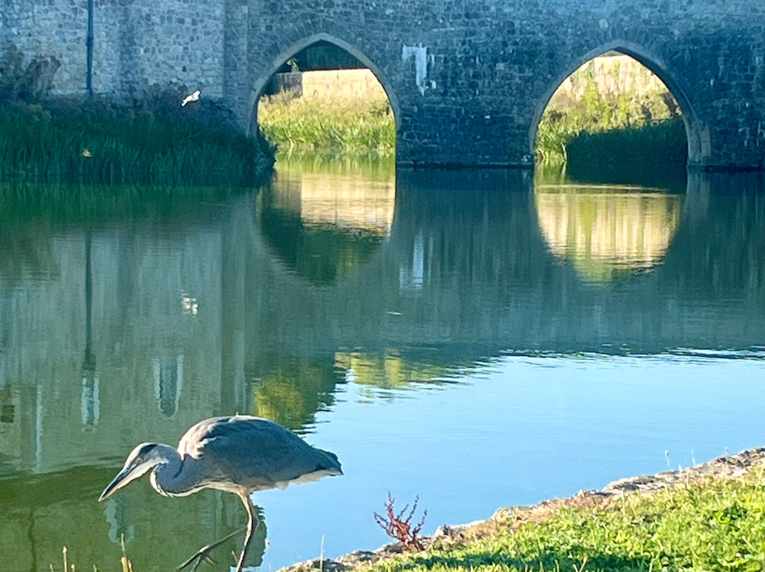 Leeds Castle - Maidens Tower B&B主图
