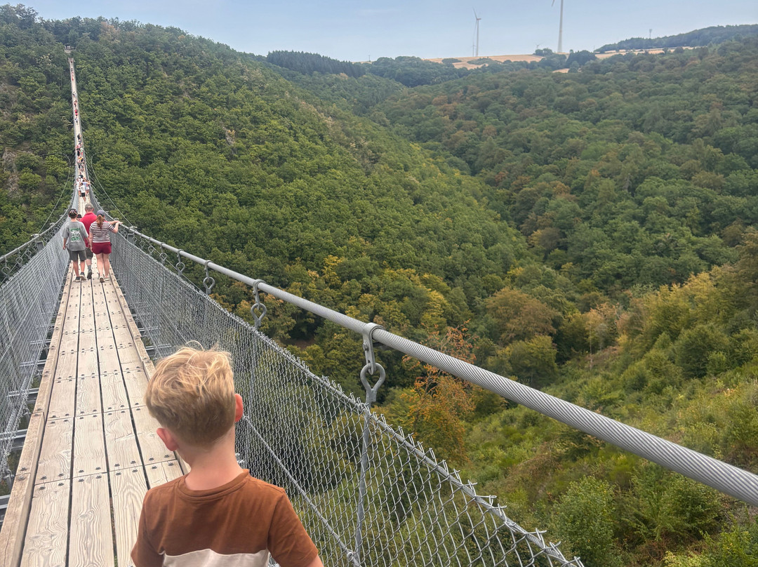 Geierlay Hängeseilbrücke-Moersdorf必去景点