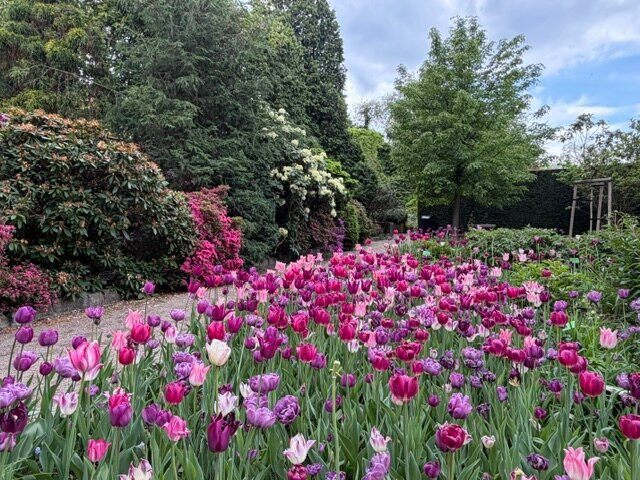 Botanical Garden of the University of Wrocław-弗罗茨瓦夫必去景点