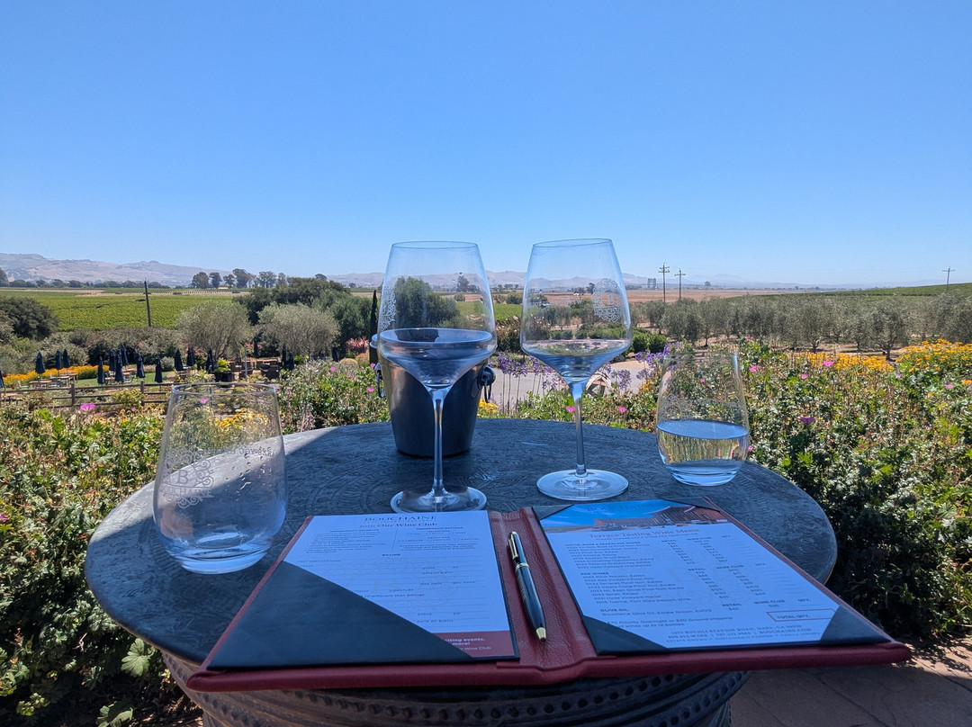 Bouchaine Vineyards - Napa Valley-纳帕必去景点