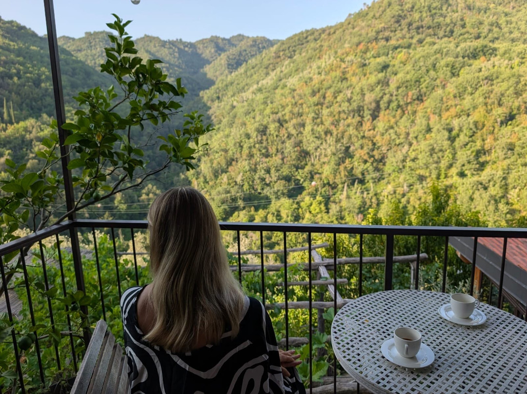 Apricus Locanda Boutique Hotel主图