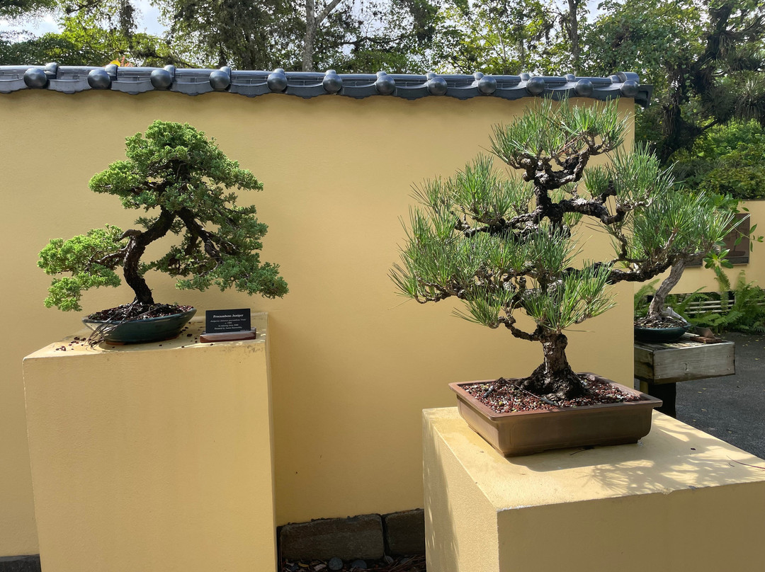 Morikami Museum & Japanese Gardens-德拉海滩必去景点