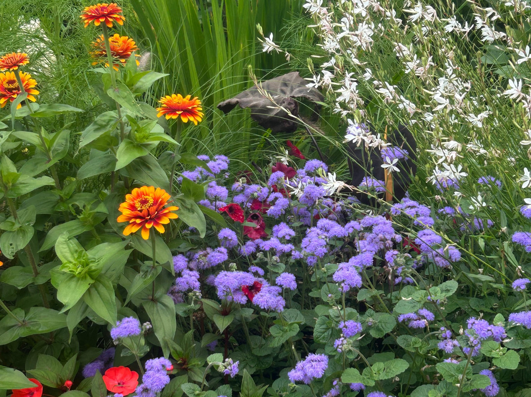 Jardin Jeanne-d'Arc-魁北克市必去景点