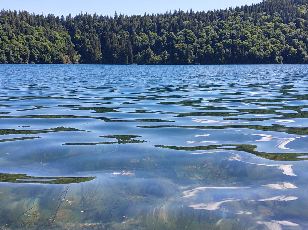 Lac Pavin-Besse-et-Saint-Anastaise必去景点
