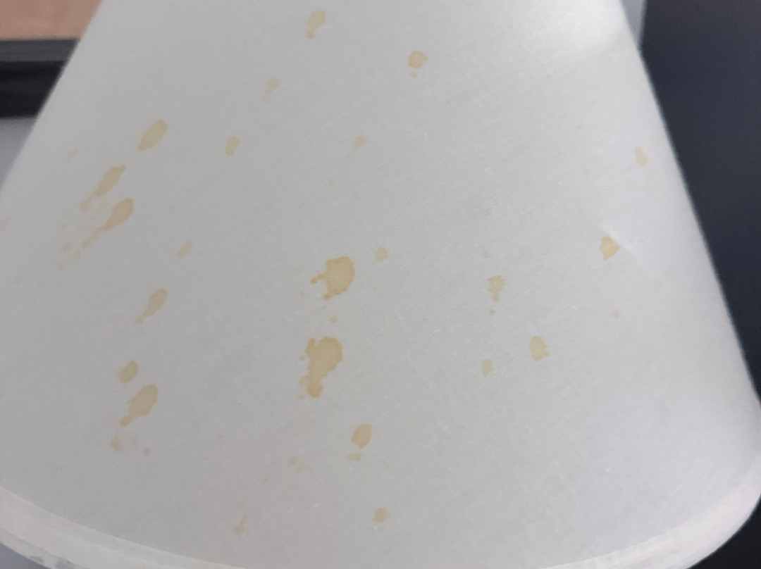 克里斯琴斯堡布莱克斯堡凯艺酒店主图