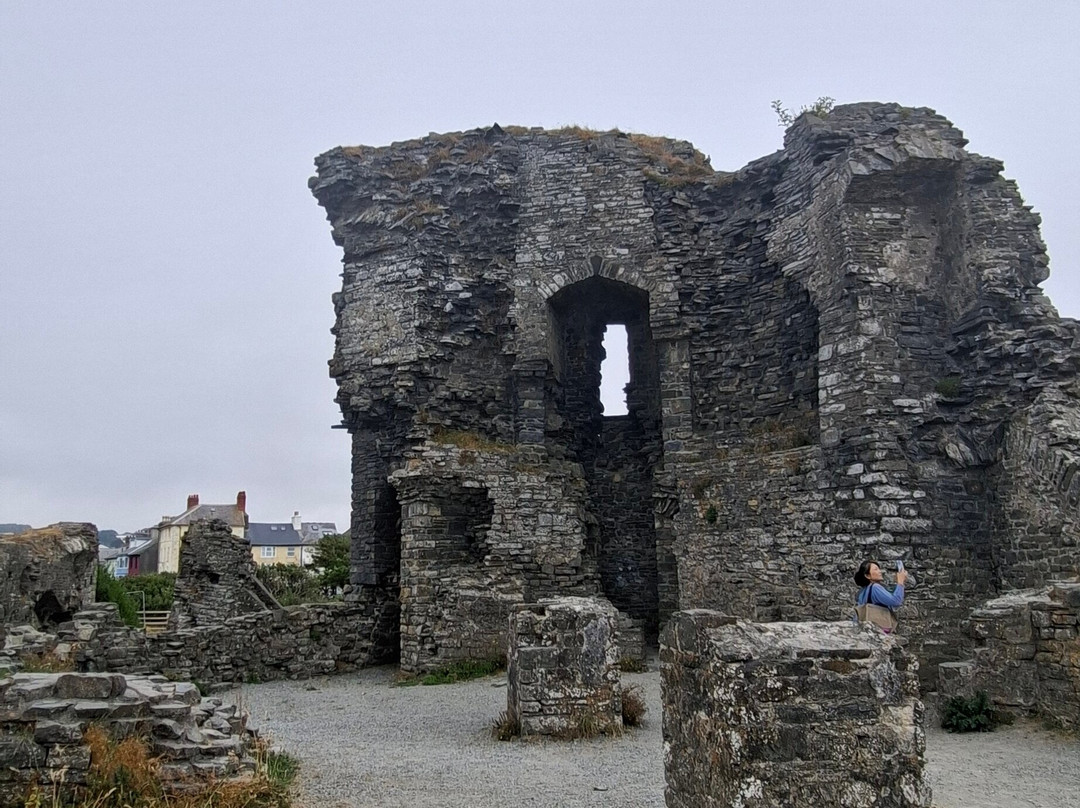 Castell Aberystwyth Castle-阿伯里斯特威斯必去景点