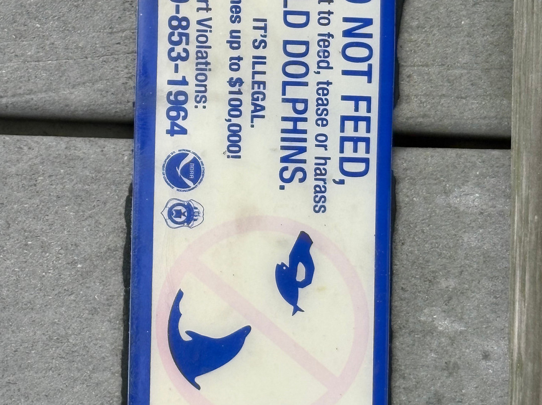 Smyrna Dunes Park-新士麦那海滩必去景点