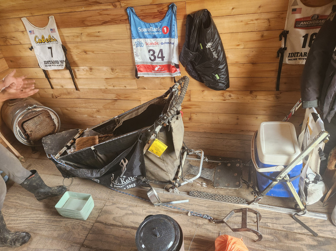 AK Sled Dog Tours-塔尔基特纳必去景点