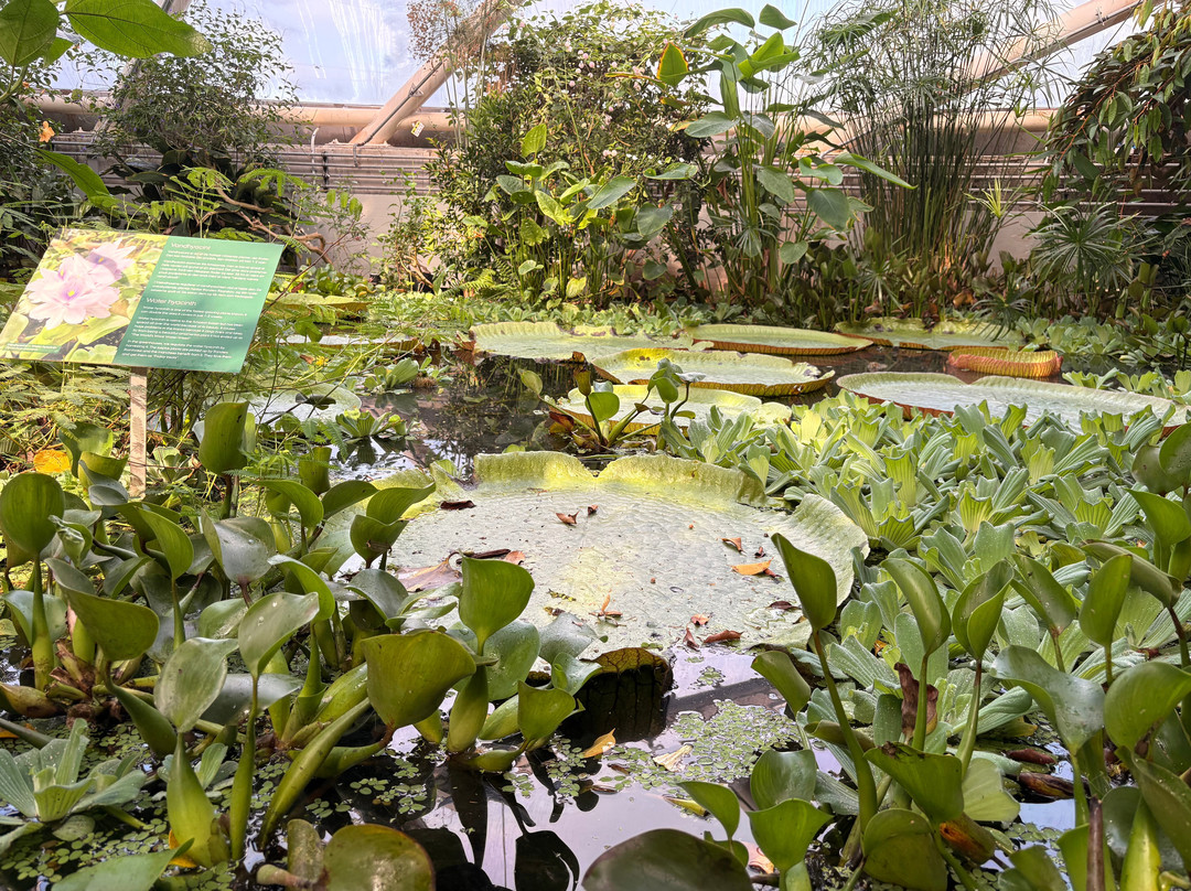 Botanical Garden and the Greenhouses-欧胡斯必去景点