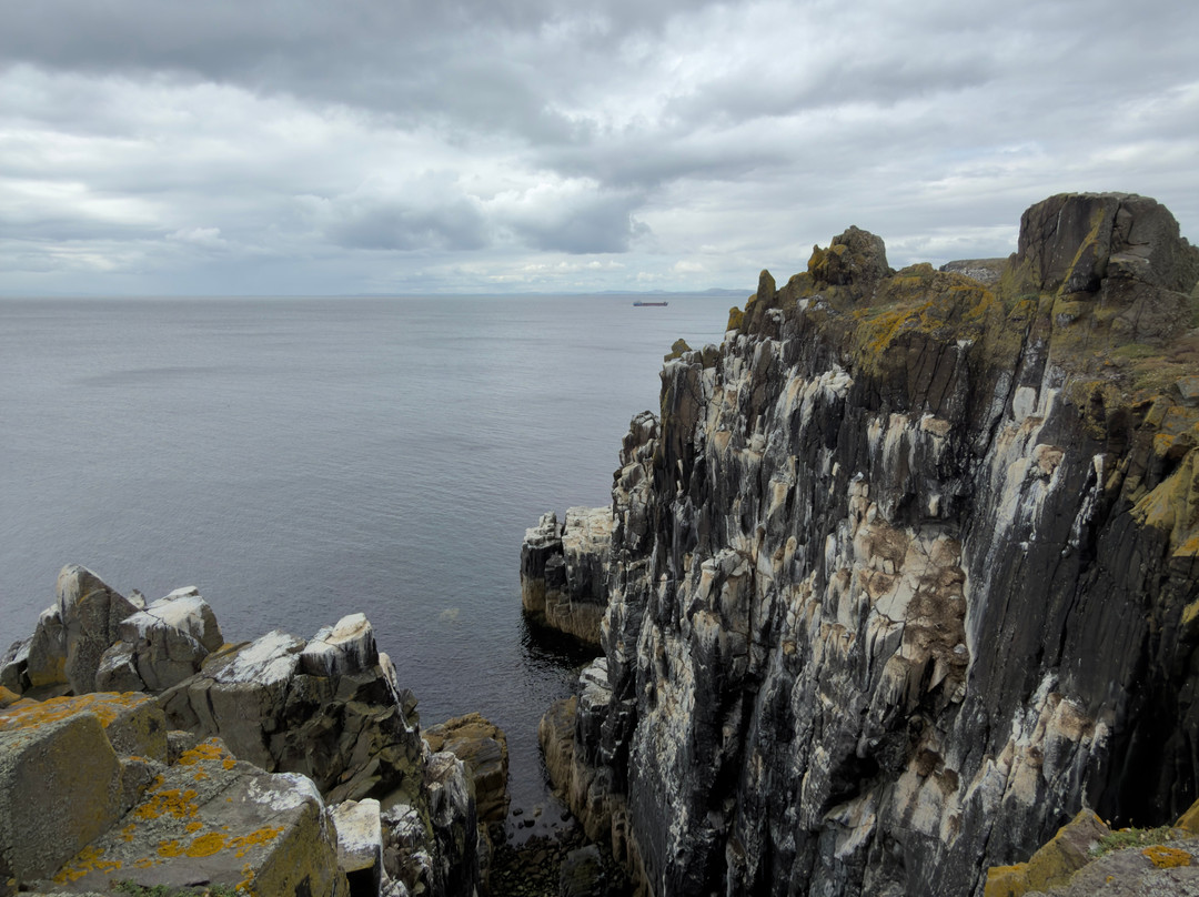Isle Of May Boat Trips-Anstruther必去景点