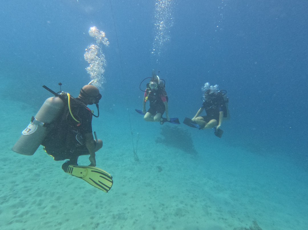 Aquarius Diving Club-马卡迪湾必去景点