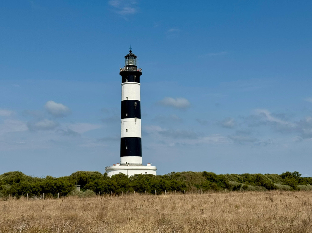 Le Phare de Chassiron-Saint-Denis d'Oleron必去景点