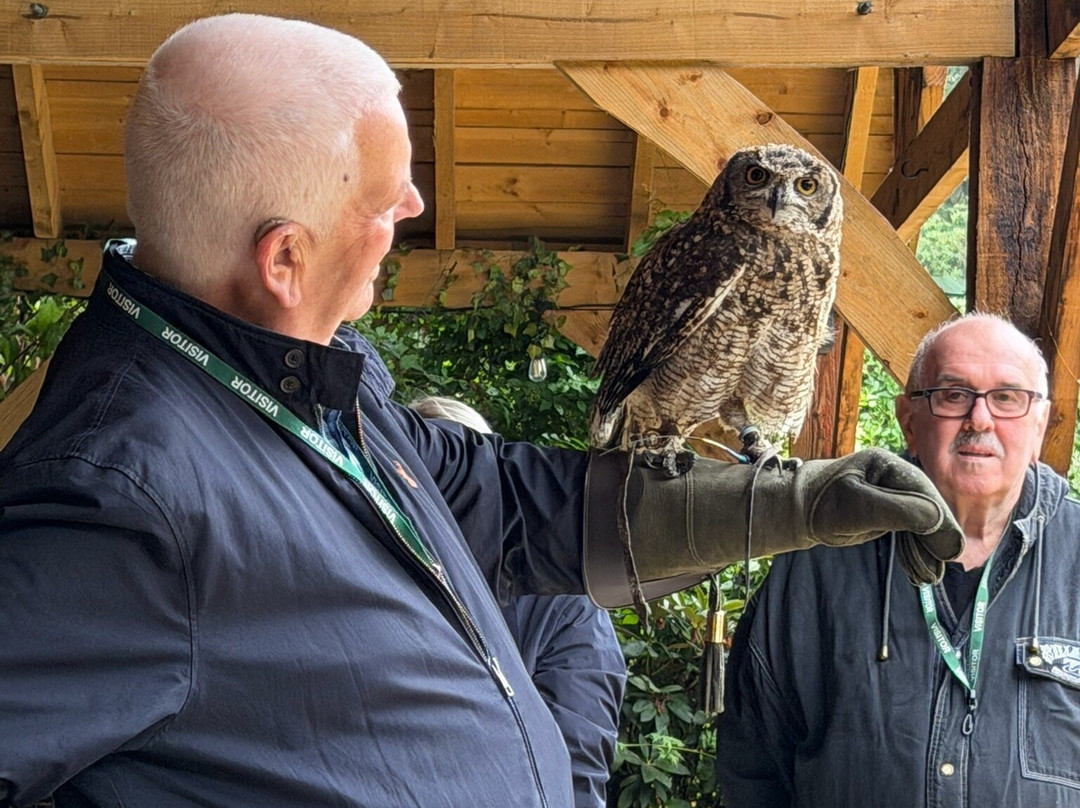 Cheshire Falconry-Northwich必去景点
