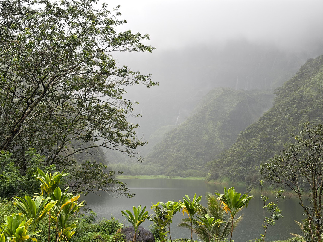 Ciao Tahiti Excursions 4x4 - Day Tours-普纳奥亚必去景点
