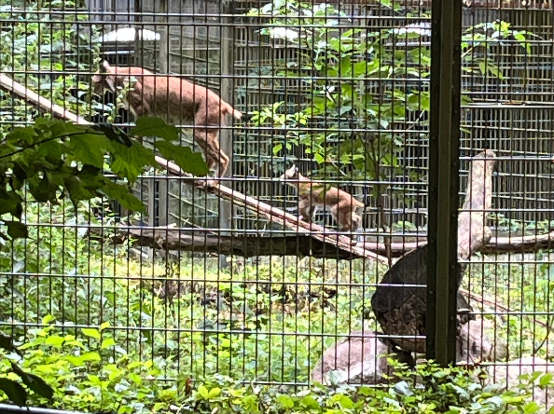 Aalborg Zoologiske Have-奥尔堡必去景点