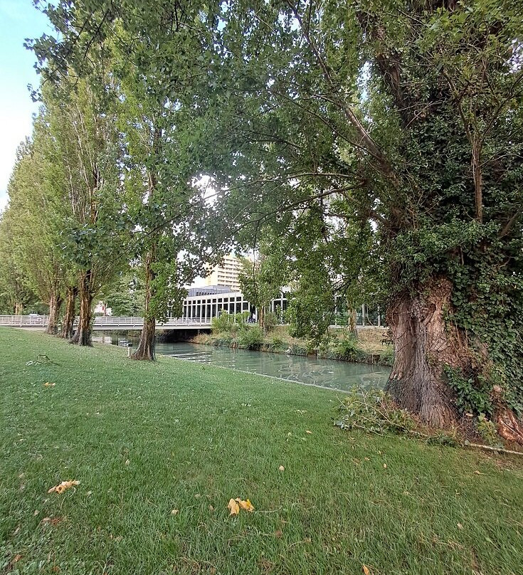 Parc Elfenau-比尔必去景点