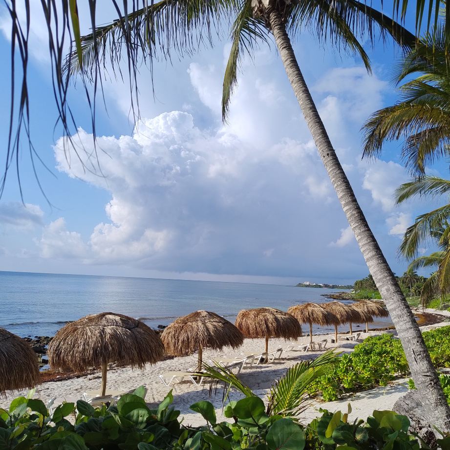 阿库玛尔湾海滩及养生度假村 - 全包式-旅行者