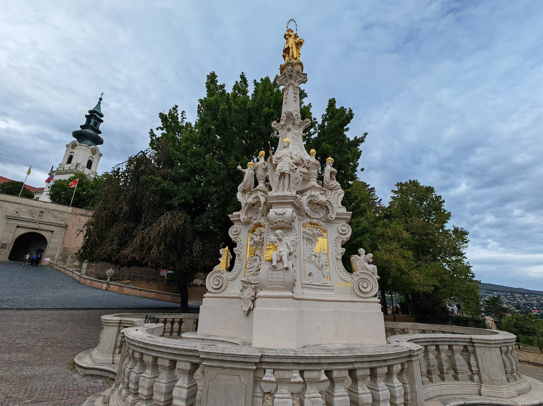 Mariánske súsošie (1750) - Morový stĺp-Nitra必去景点