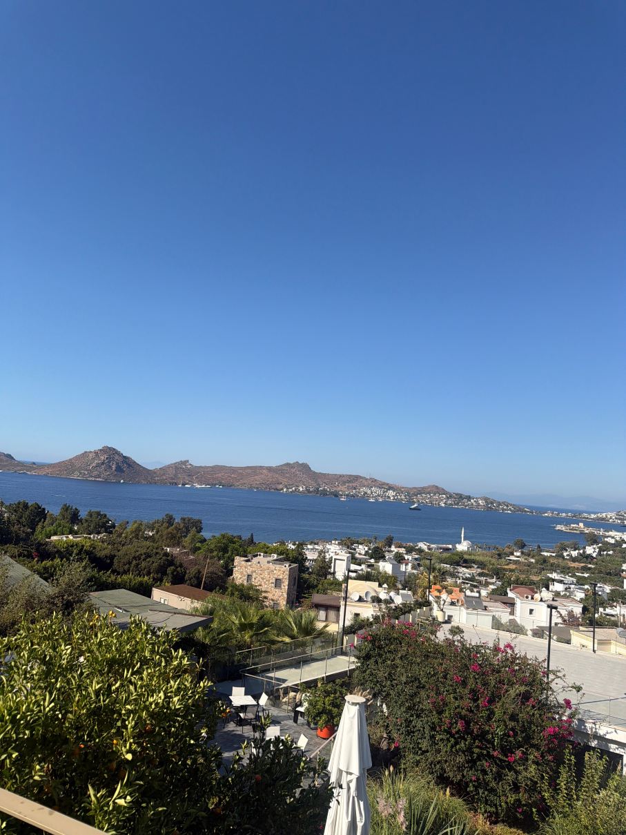 雅利卡瓦克-斯佩克特精品酒店-旅行者