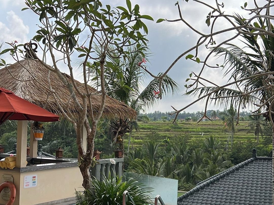 Seres Springs Resort & Spa, Singakerta主图
