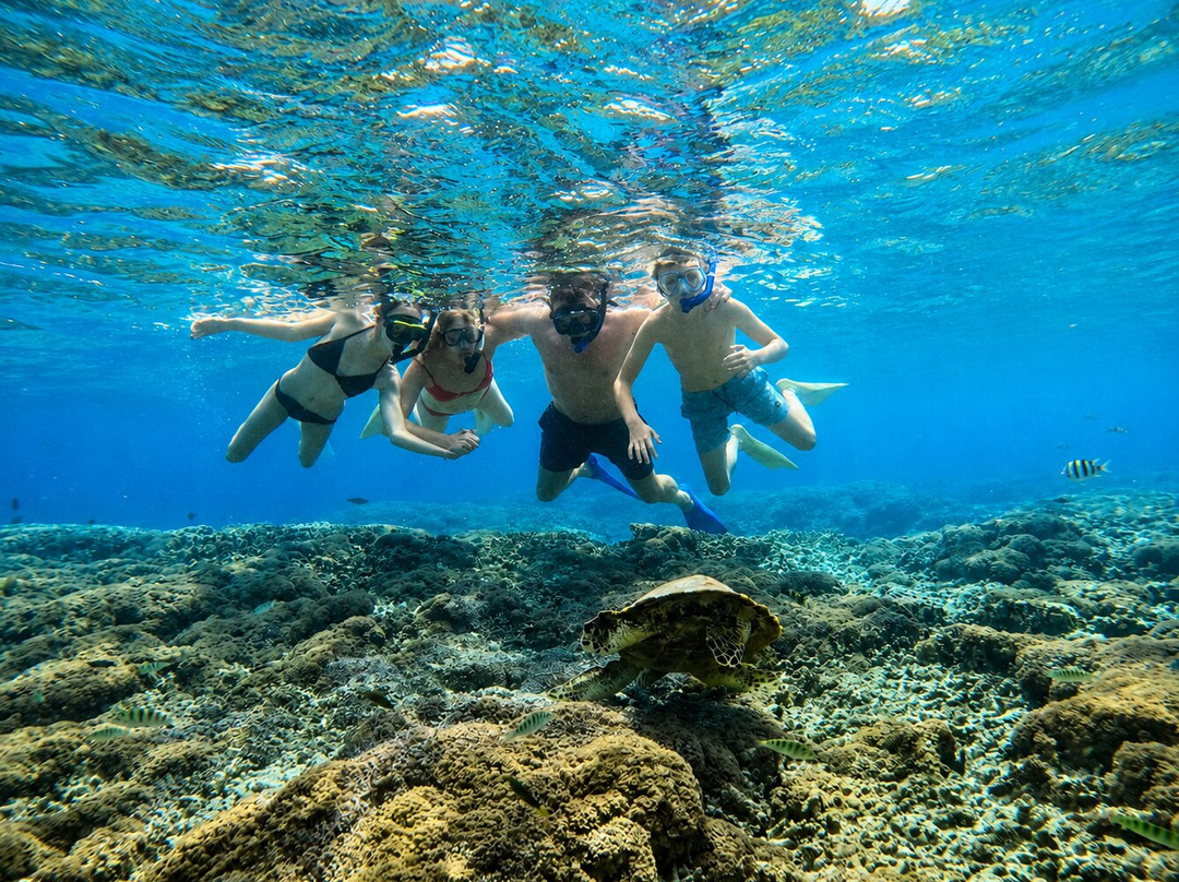 Scuba Froggy - Senggigi-Senggigi必去景点