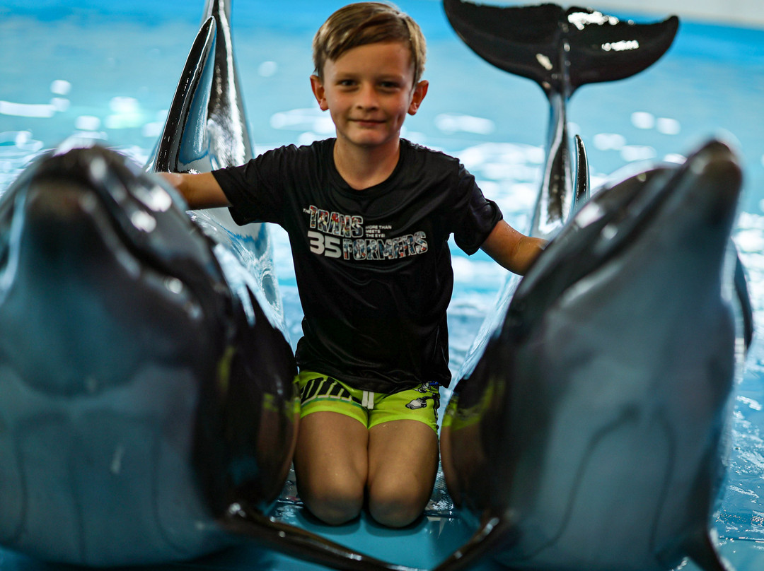 Pattaya Dolphinarium-芭堤雅必去景点