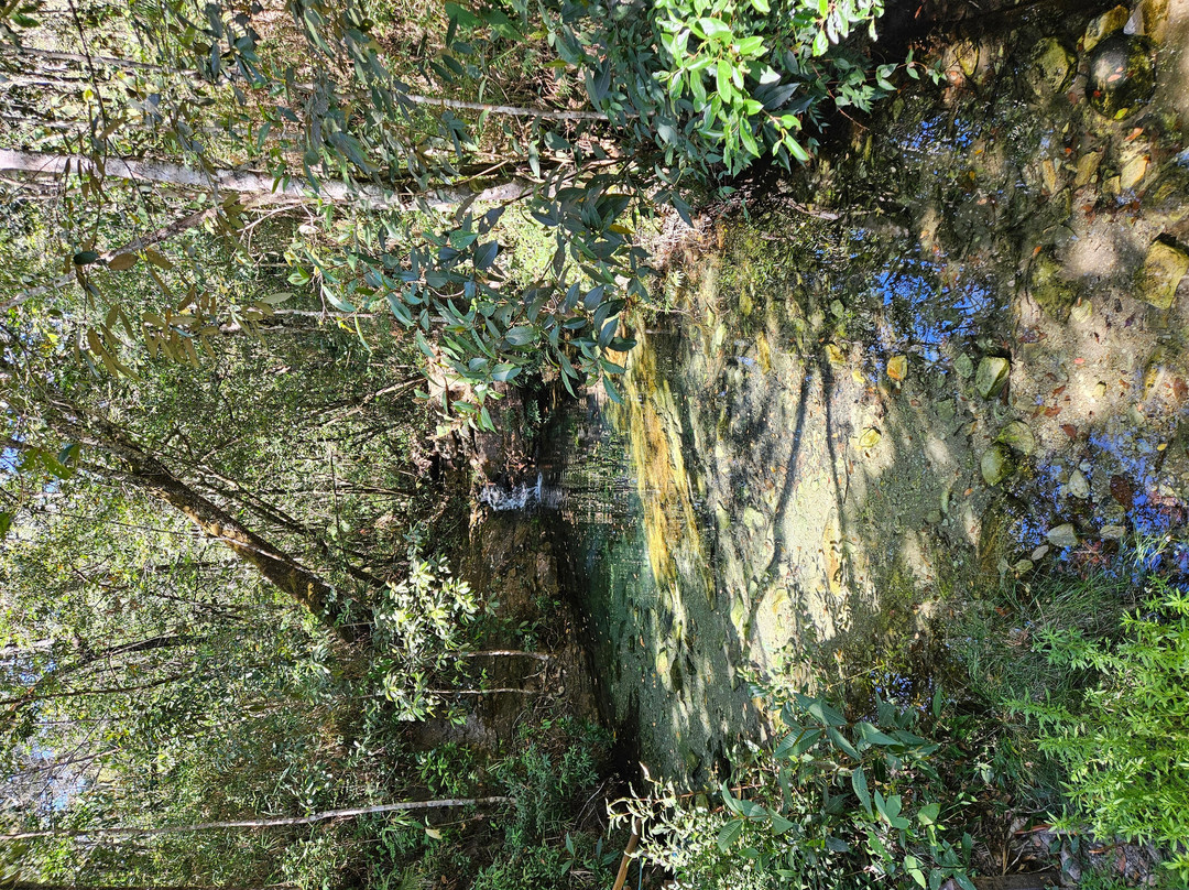 Cachoeira Loquinhas-上帕拉伊苏迪戈亚斯必去景点