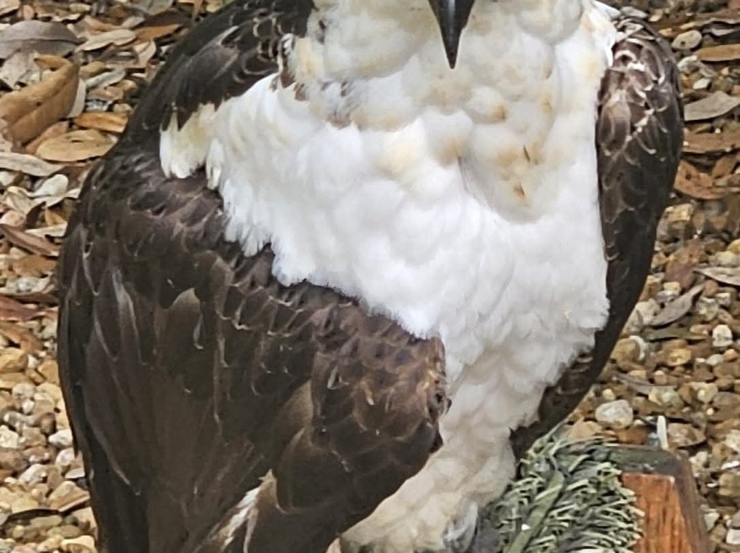 Moccasin Lake Nature Park-克利尔沃特必去景点