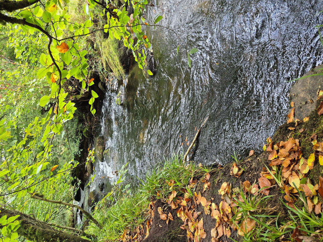 Golitha Falls-利斯卡德必去景点
